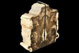 Petrified Wood Bookends - Oregon #131793-1